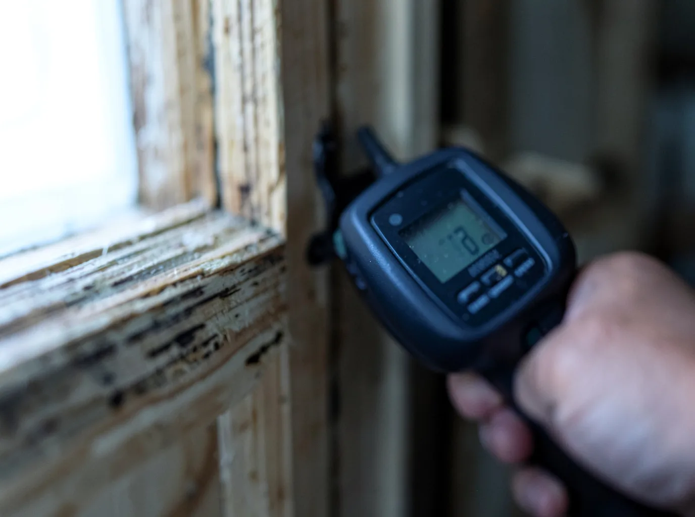Moisture Inspection And Documentation in Arroyo Seco, NM